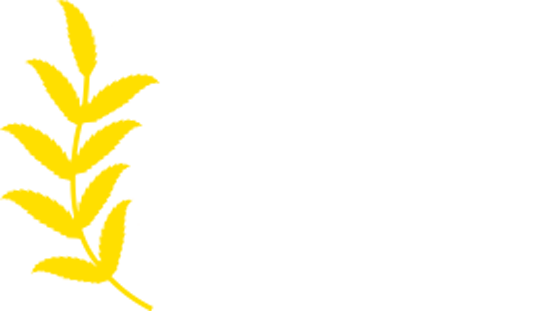 Pancreatic Cancer Research Fund