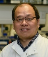 Professor Yaohe Wang