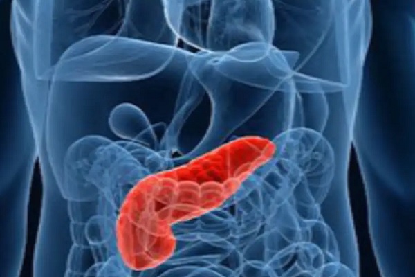 representation of a pancreas